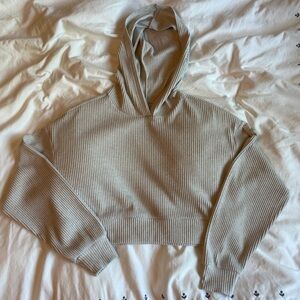 Alo Cropped Hoodie